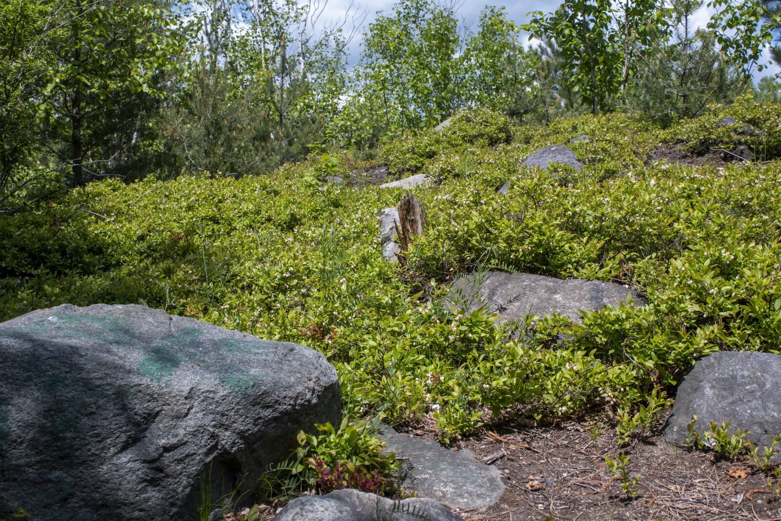 Canon EOS 70D + Canon EF-S 18-55mm F3.5-5.6 IS sample photo. Rocks, grass, landscape photography