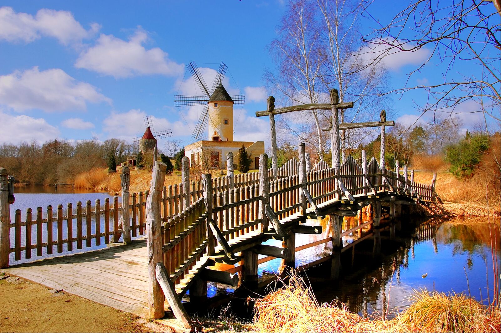 Nikon D40 sample photo. Mill, gifhorn, museum photography
