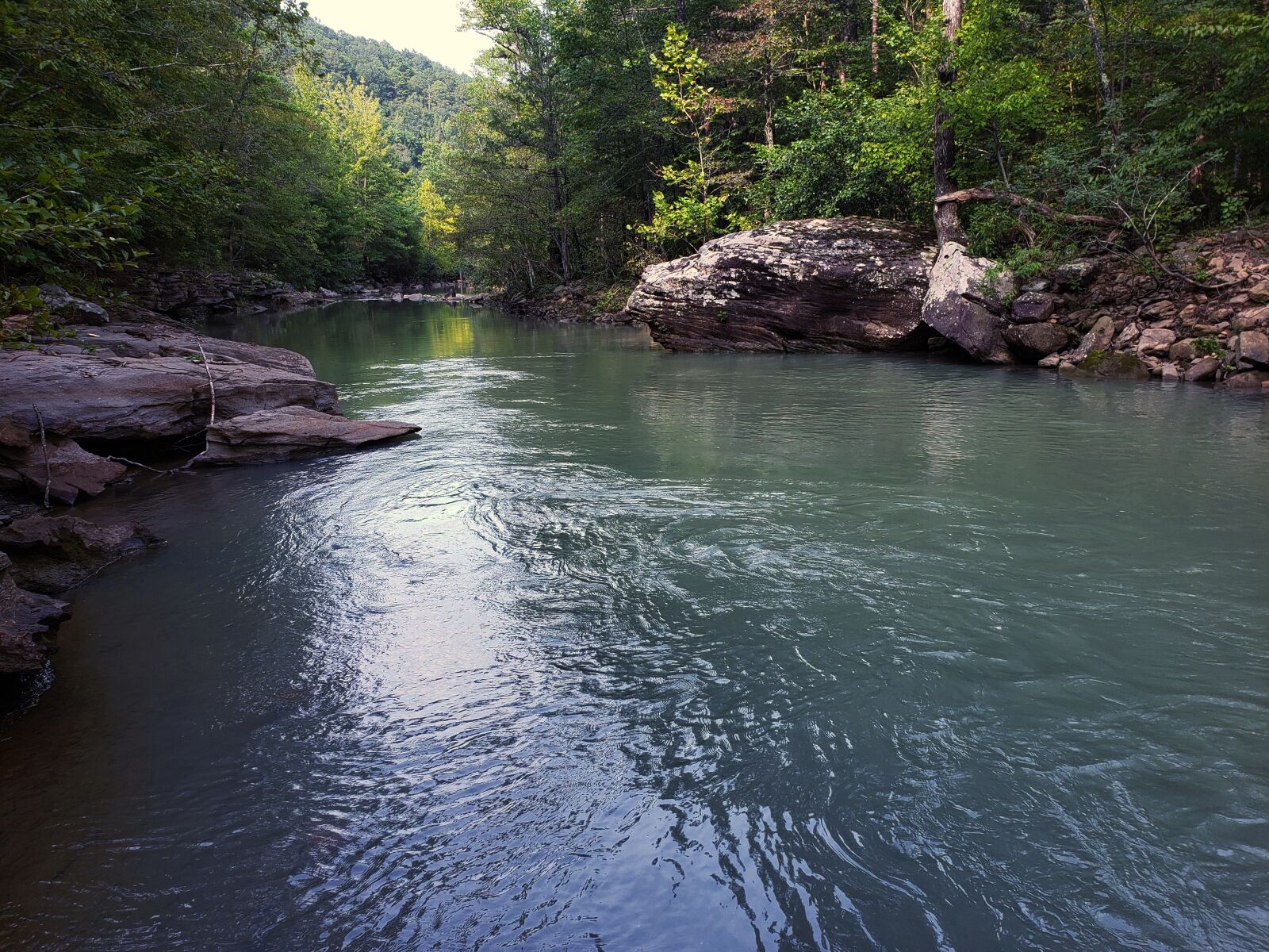Samsung Galaxy Note9 sample photo. Stream, river, forest photography