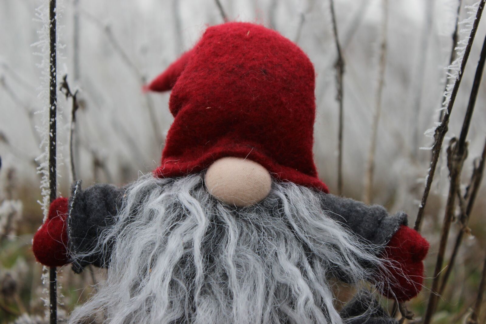 Canon EOS 600D (Rebel EOS T3i / EOS Kiss X5) sample photo. Imp, santa claus, dwarf photography