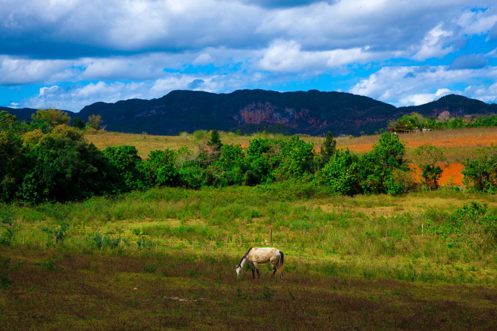 Canon EOS 5D Mark II sample photo. Viñales, cuba, landscape photography