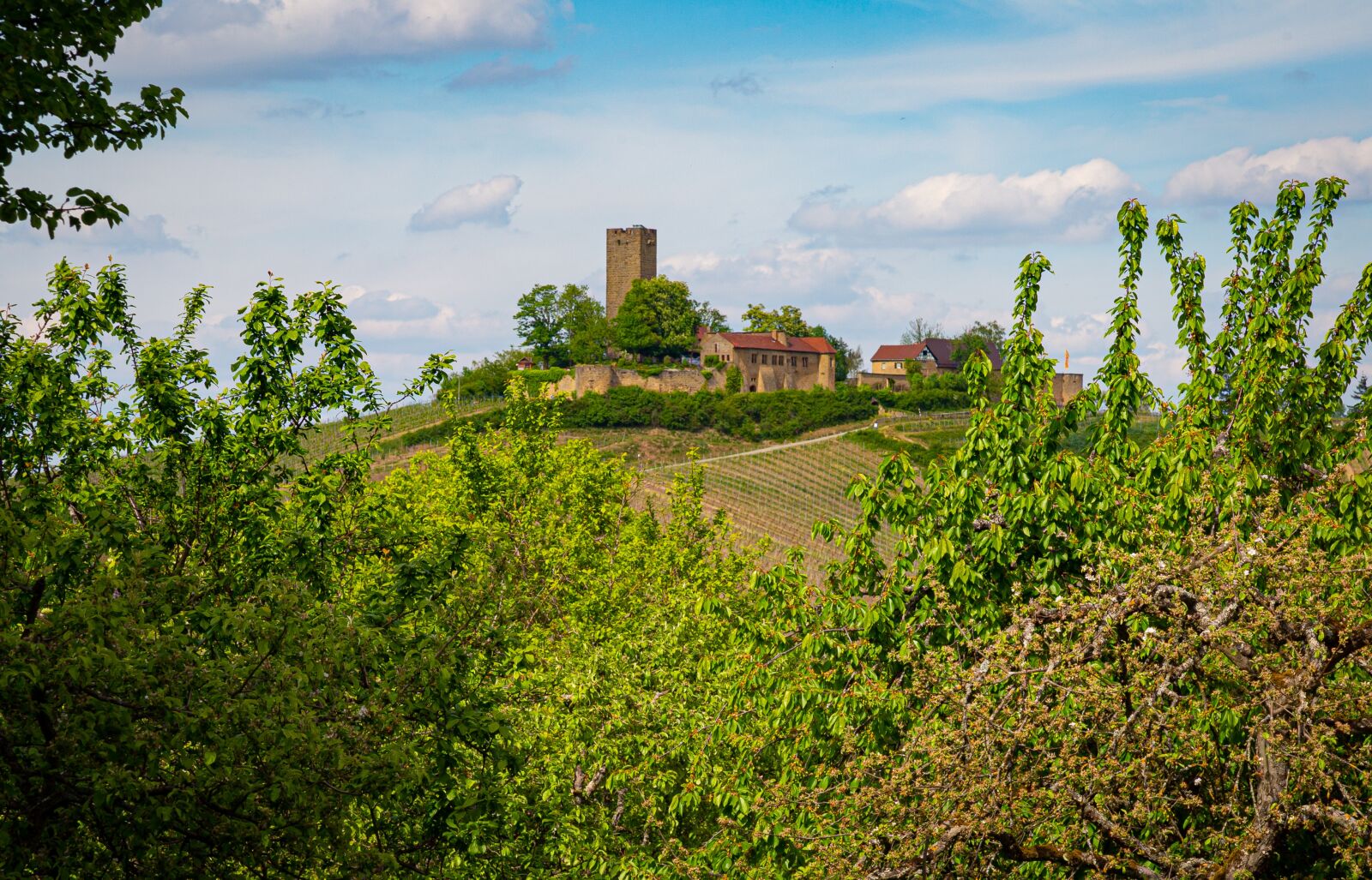 Canon EF 24-105mm F4L IS USM sample photo. Ravensburg, sulzfeld, castle photography