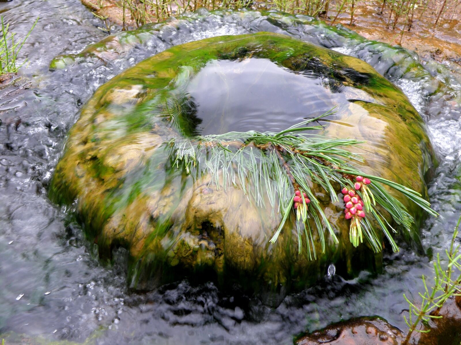 Olympus SP570UZ sample photo. Well, water, spring photography