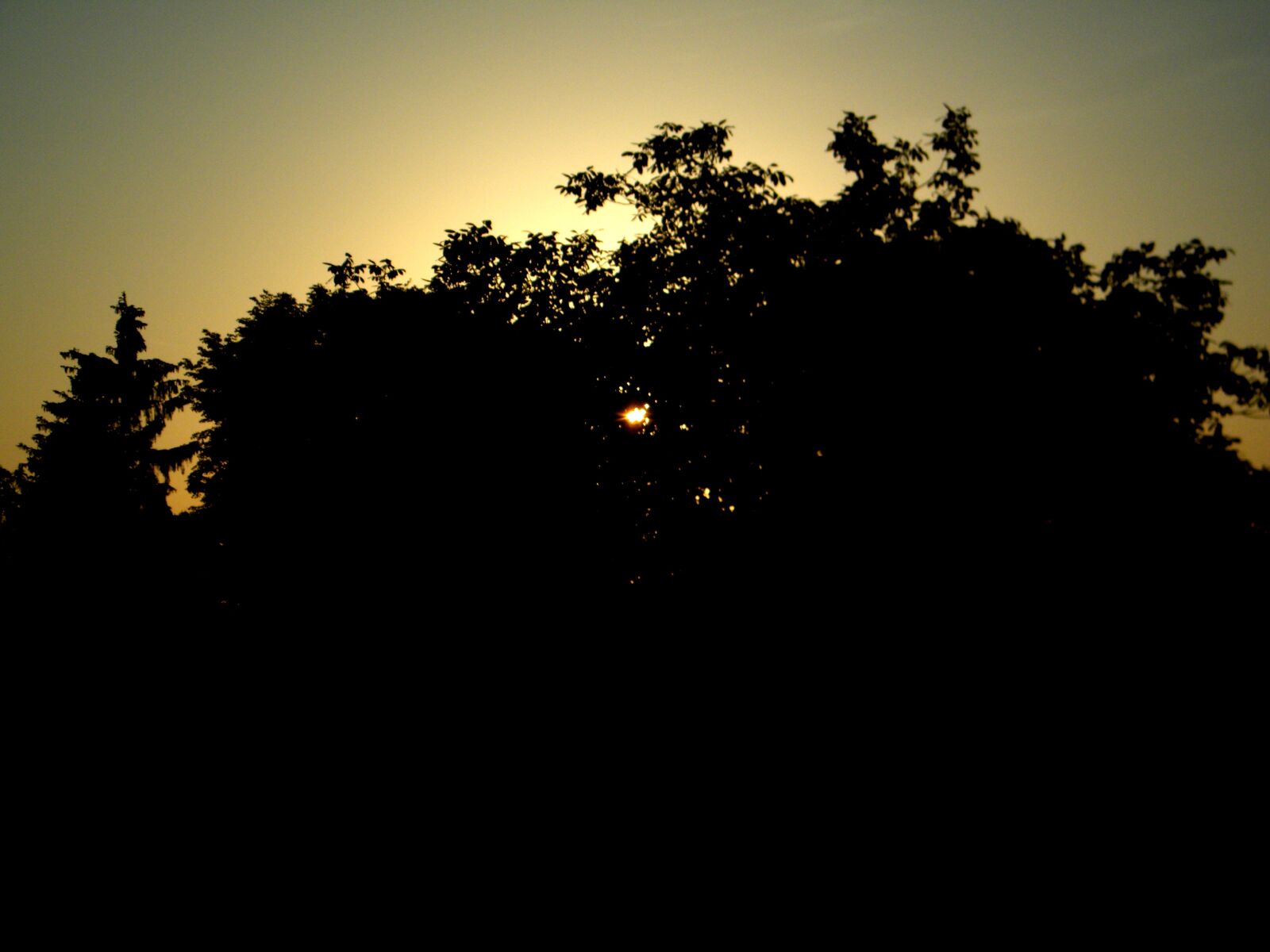 Fujifilm FinePix S2000HD sample photo. Sunrise, sunset, sun photography