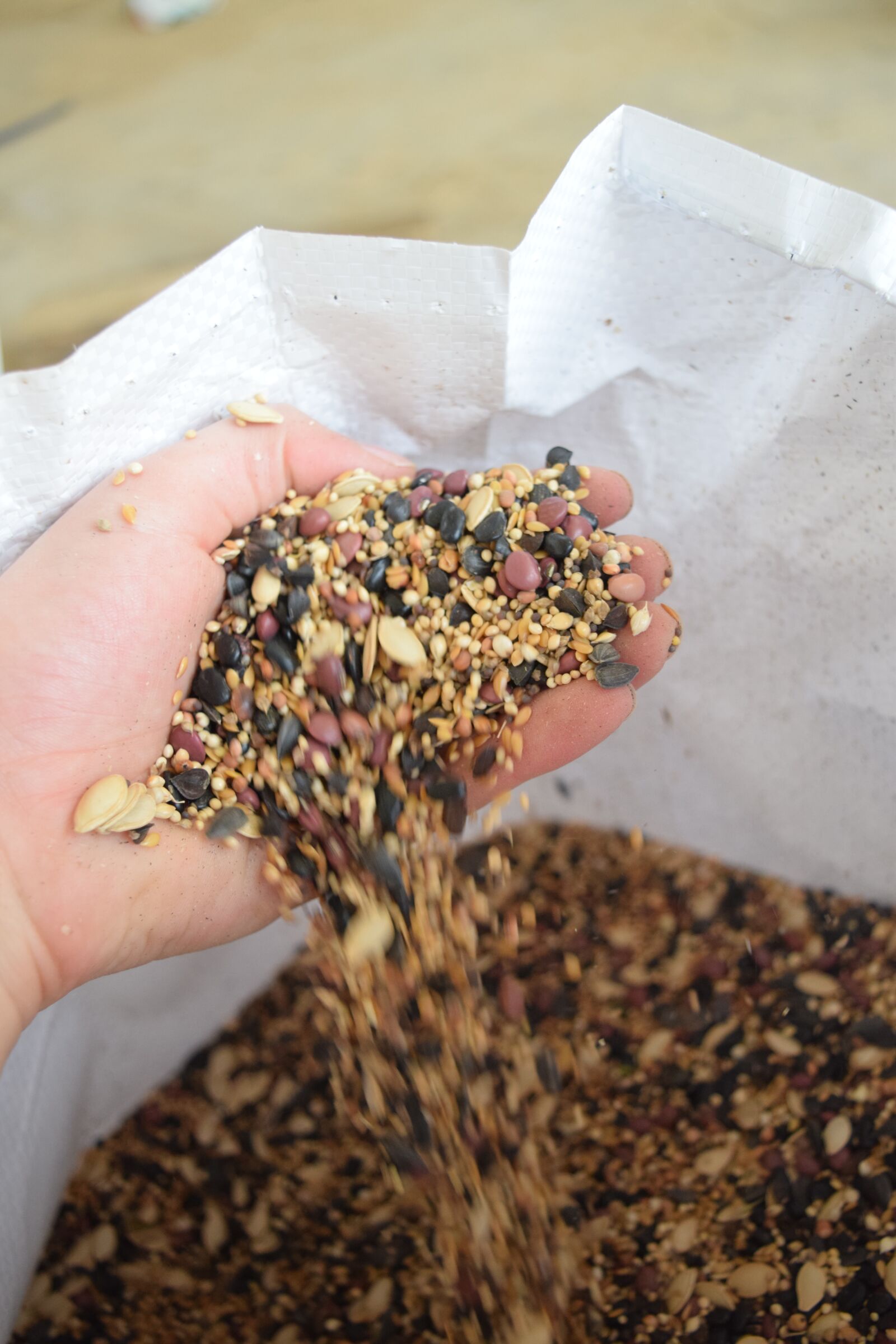 Nikon D3300 sample photo. Seed, farm, grain photography