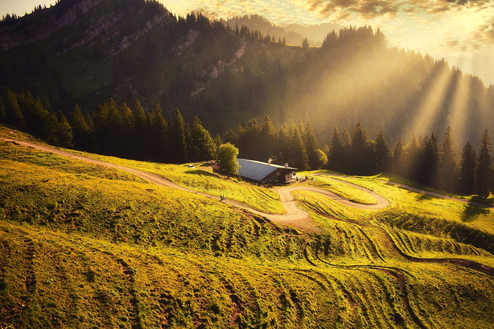 Nikon D3400 sample photo. Alps, bavaria, tracking photography