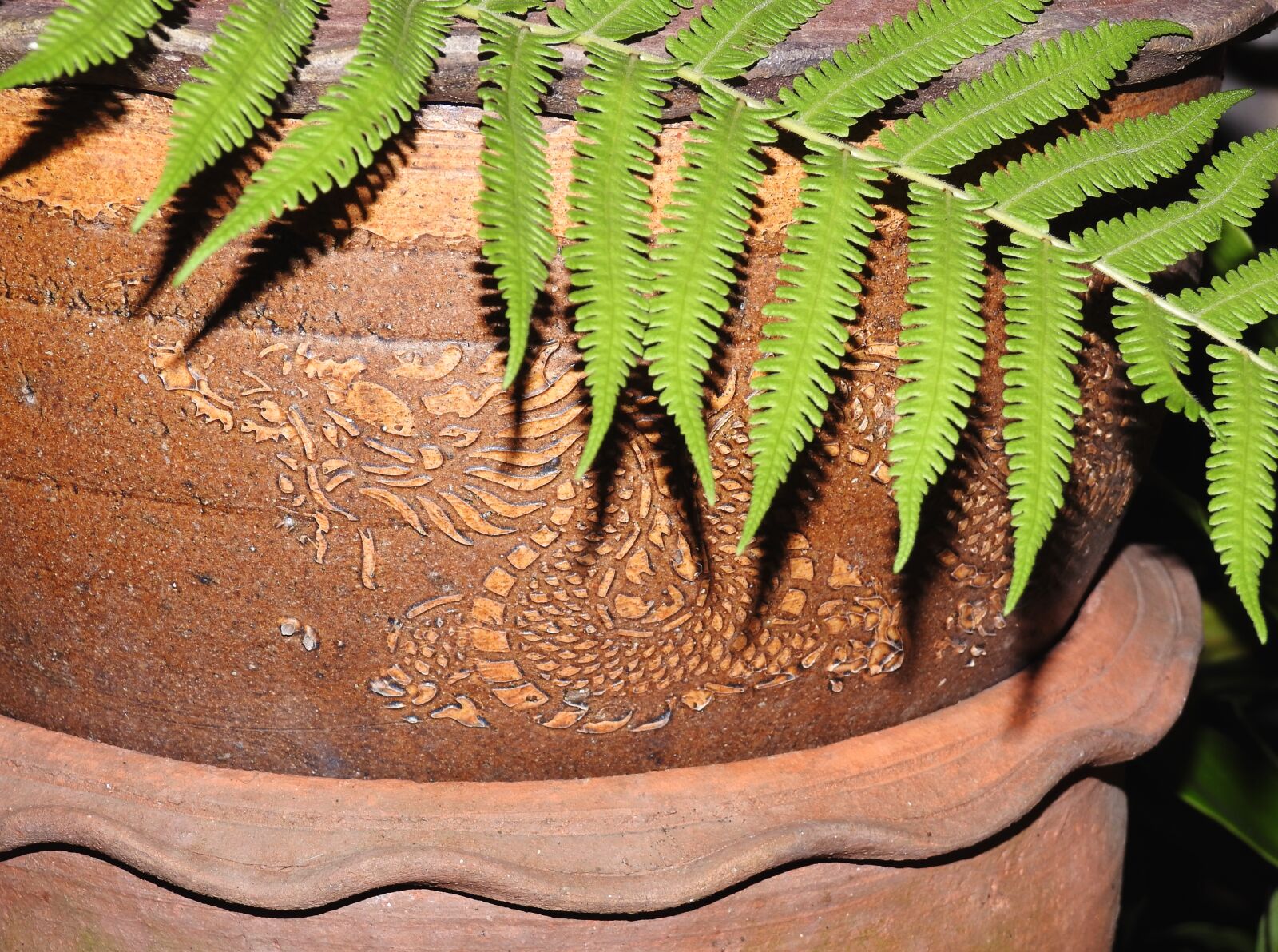 Nikon Coolpix P900 sample photo. Dragon, pot photography