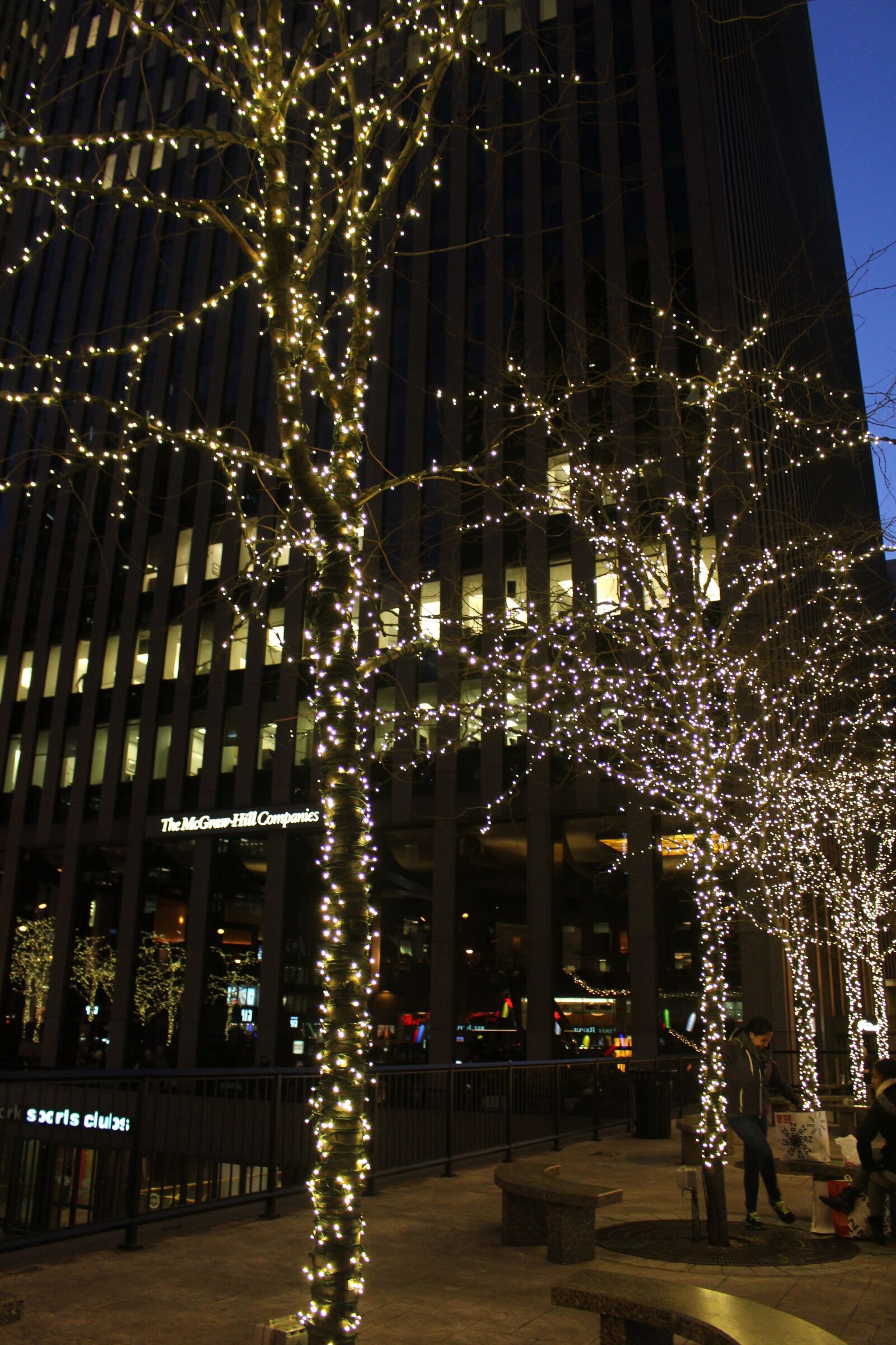 Canon EOS 700D (EOS Rebel T5i / EOS Kiss X7i) + Canon EF-S 18-55mm F3.5-5.6 IS STM sample photo. New york, holiday, lights photography