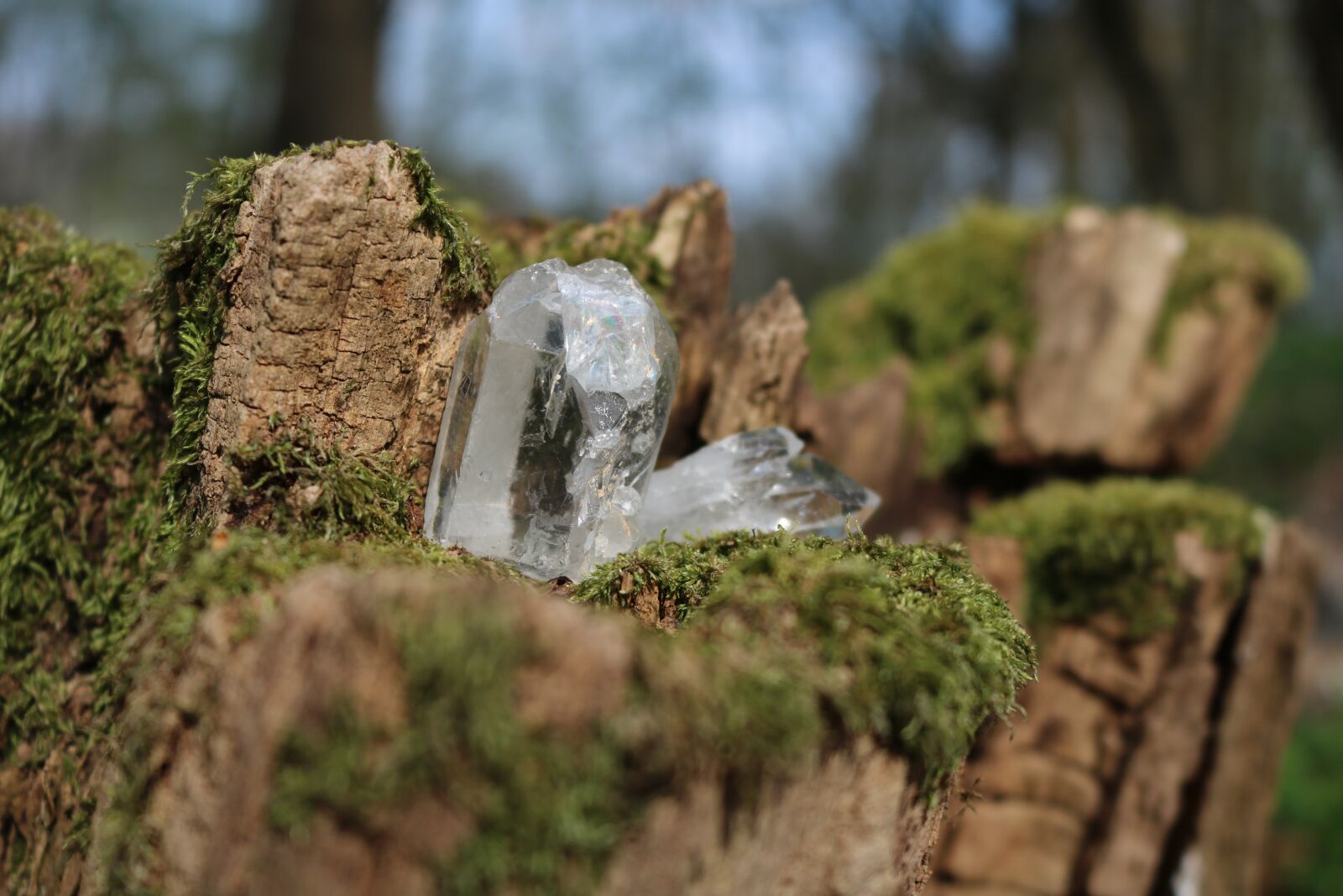 Canon EOS 750D (EOS Rebel T6i / EOS Kiss X8i) sample photo. Nature, crystal, rock crystal photography