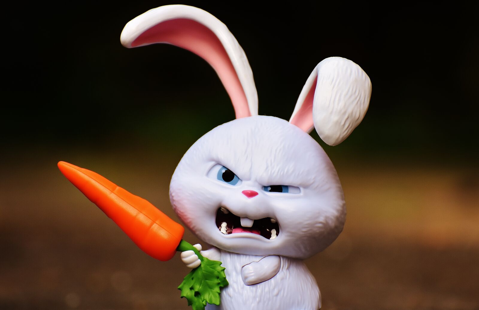Nikon D7200 sample photo. Hare, evil, snowball photography