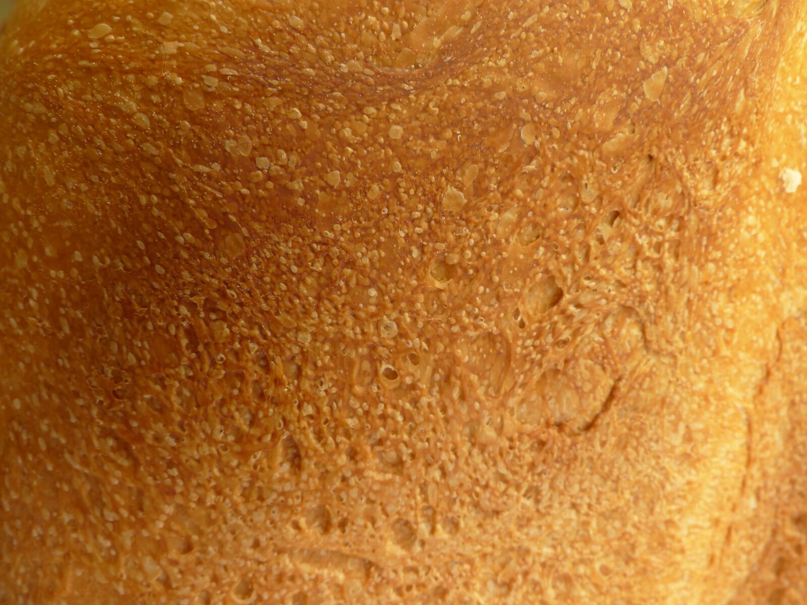 Panasonic Lumix DMC-FZ200 sample photo. Bread, surface, cork photography