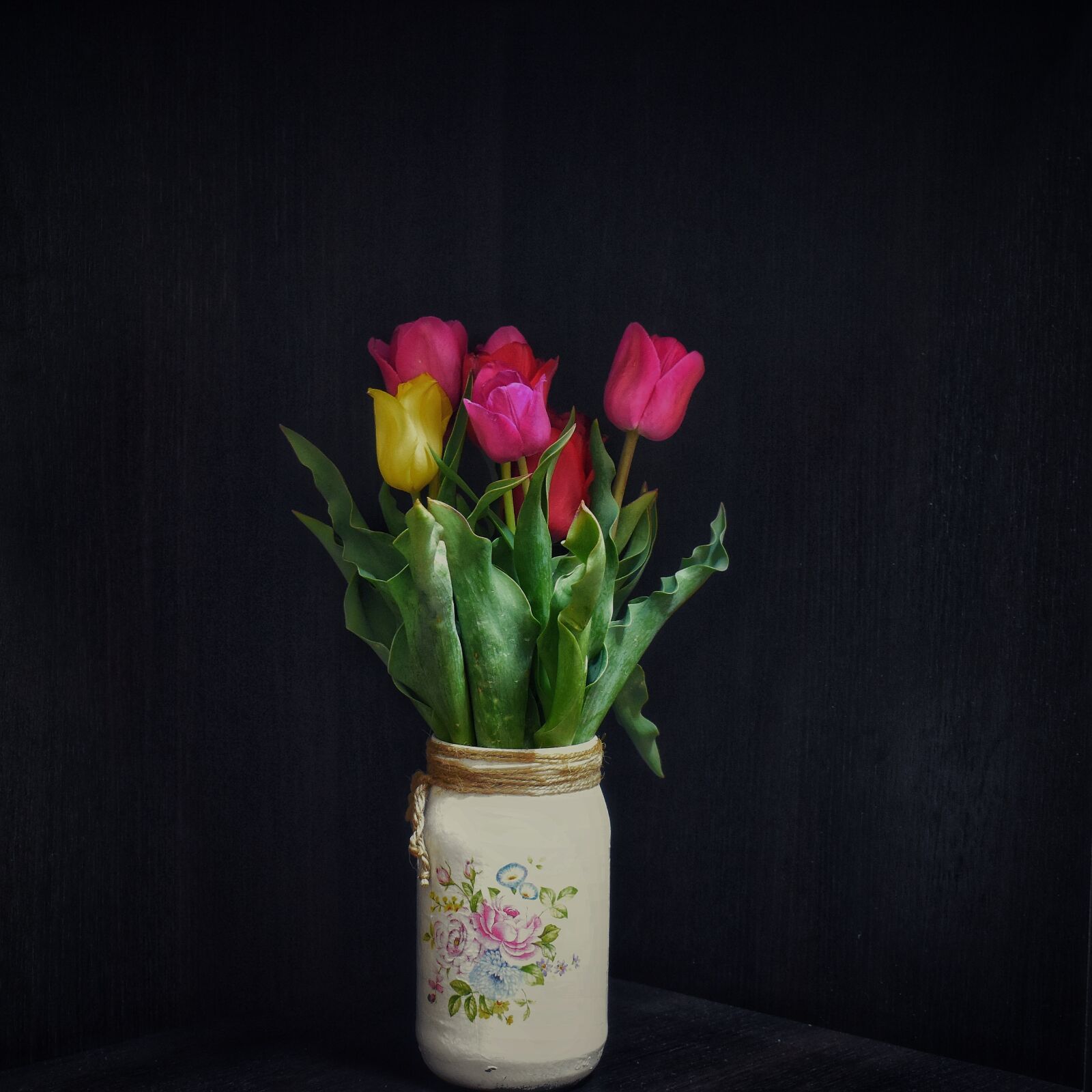 Nikon D3500 sample photo. Tulips, flowers, spring photography