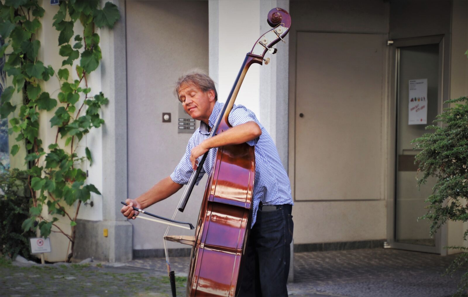 Canon EOS 80D sample photo. Cello, tool, string photography