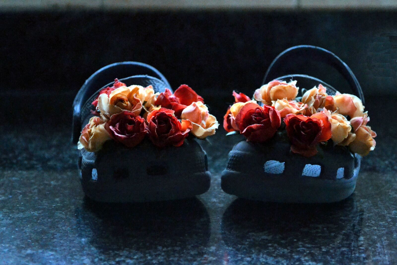 Nikon D3100 sample photo. Crocks, creative, flowers photography
