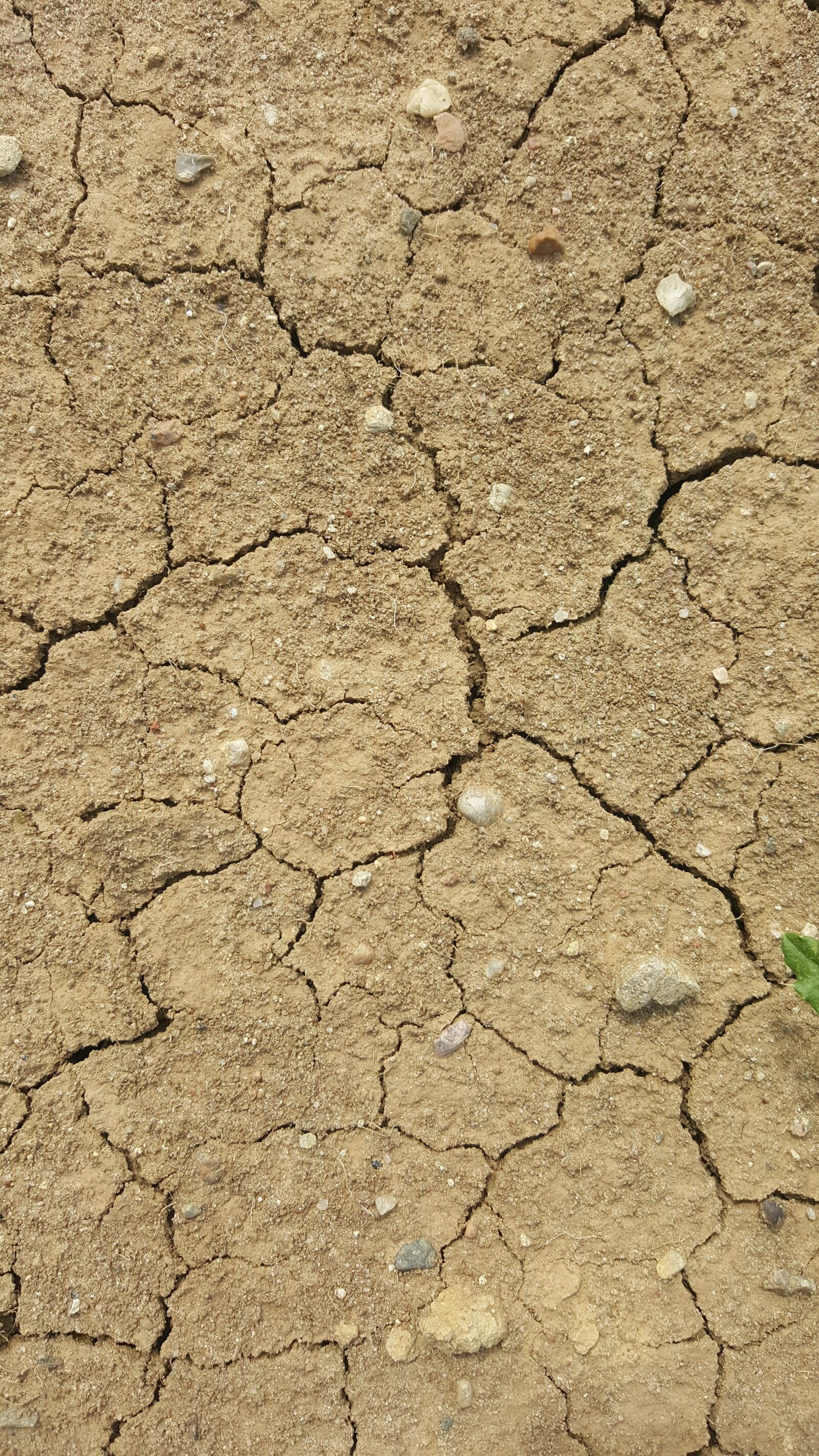 Samsung Galaxy S6 sample photo. Dry land, dry soil photography