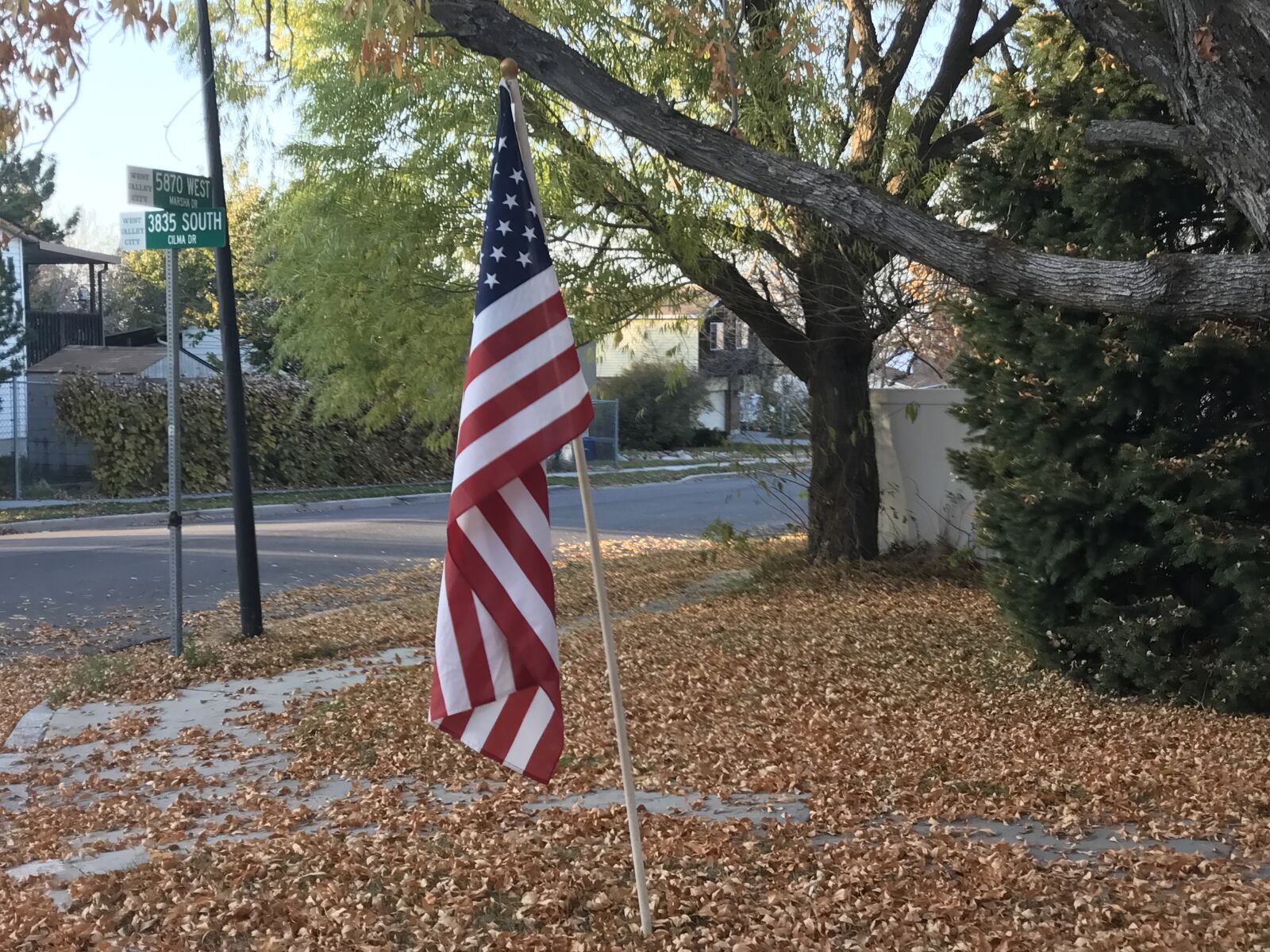 Apple iPhone 7 Plus + iPhone 7 Plus back iSight Duo camera 3.99mm f/1.8 sample photo. American, flag, fall photography