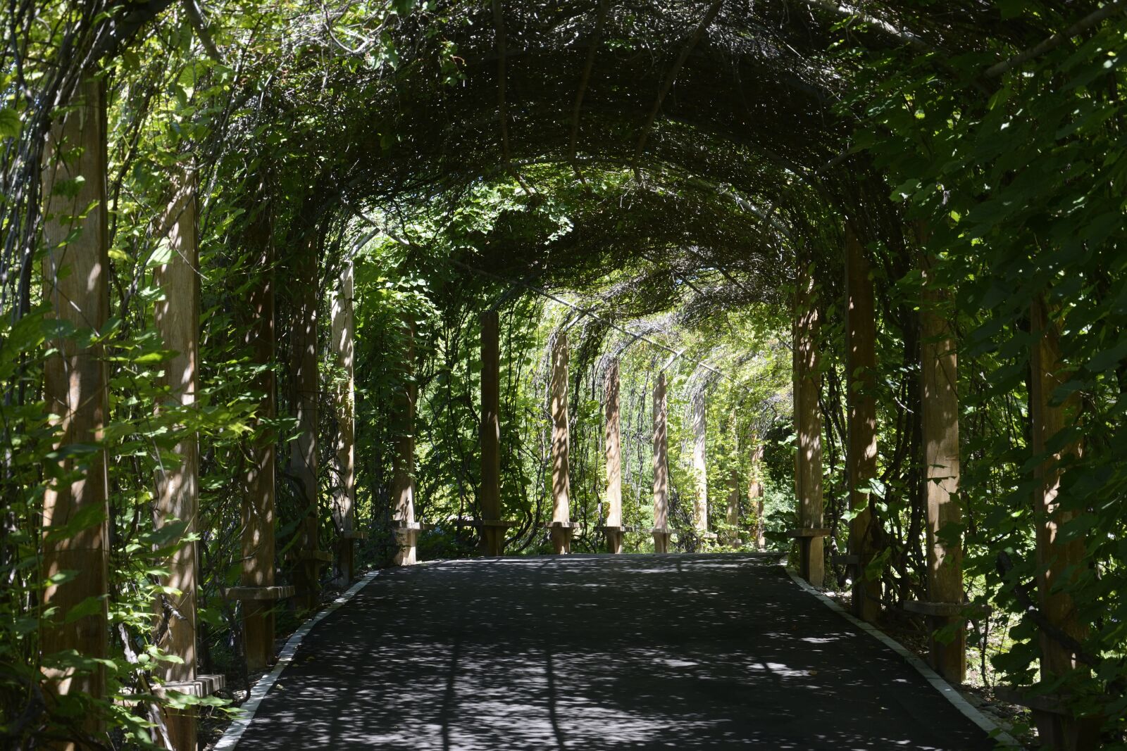Nikon D7100 sample photo. Shenyang, botanical garden, corridor photography