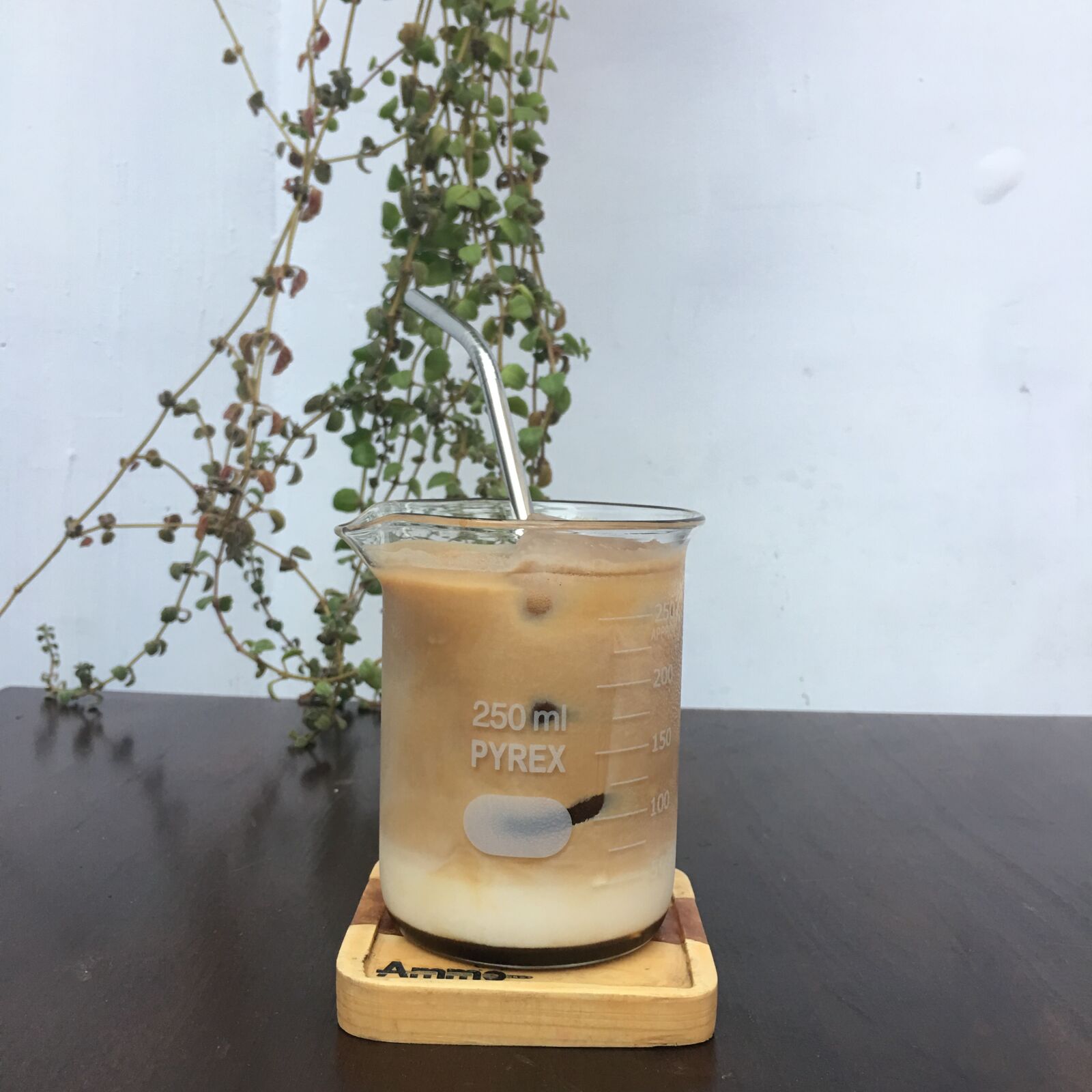 iPhone 6s Plus back camera 4.15mm f/2.2 sample photo. Coffee, indonesia, malang photography