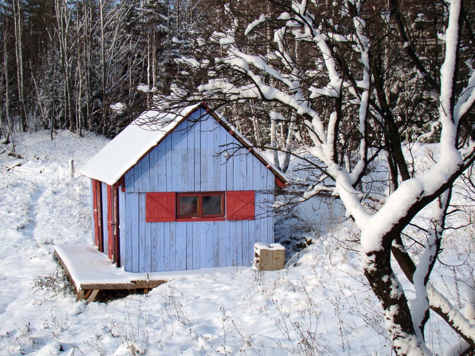 Sony Cyber-shot DSC-H50 sample photo. Winter, blue house, red photography