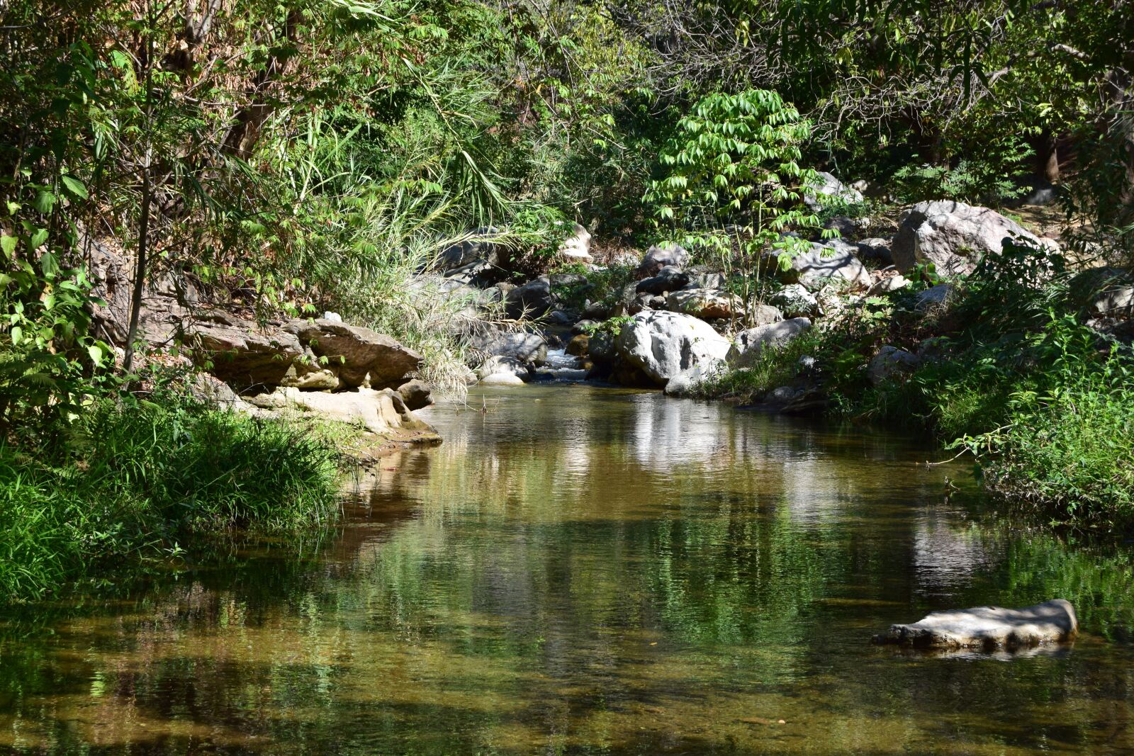 Nikon D3300 sample photo. River, brook, creek photography