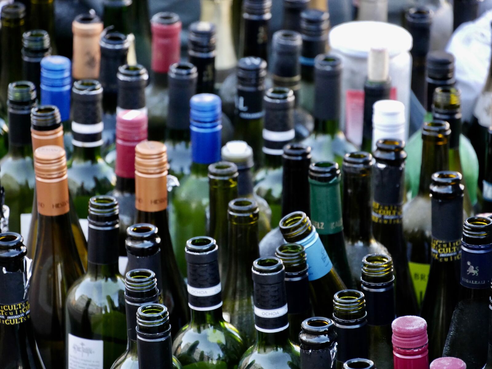 Panasonic DMC-G70 sample photo. Bottles, wine bottles, recycled photography