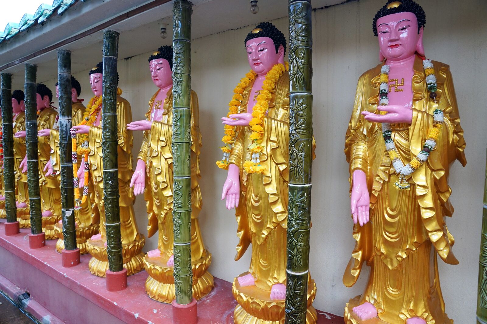 Sony ILCA-77M2 + Sony DT 16-50mm F2.8 SSM sample photo. Temple, buddha, religion photography
