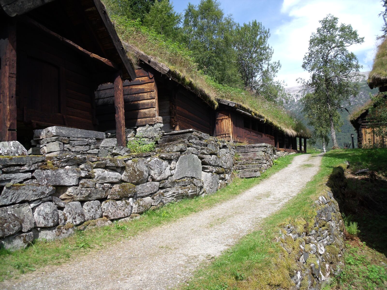 Fujifilm FinePix J110W sample photo. Norway, village, wood photography
