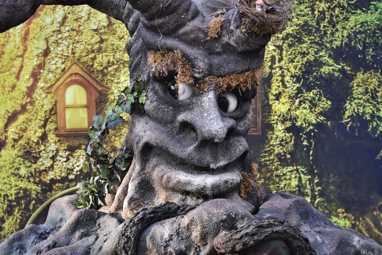Nikon D7200 sample photo. Tree, fairy tale forest photography