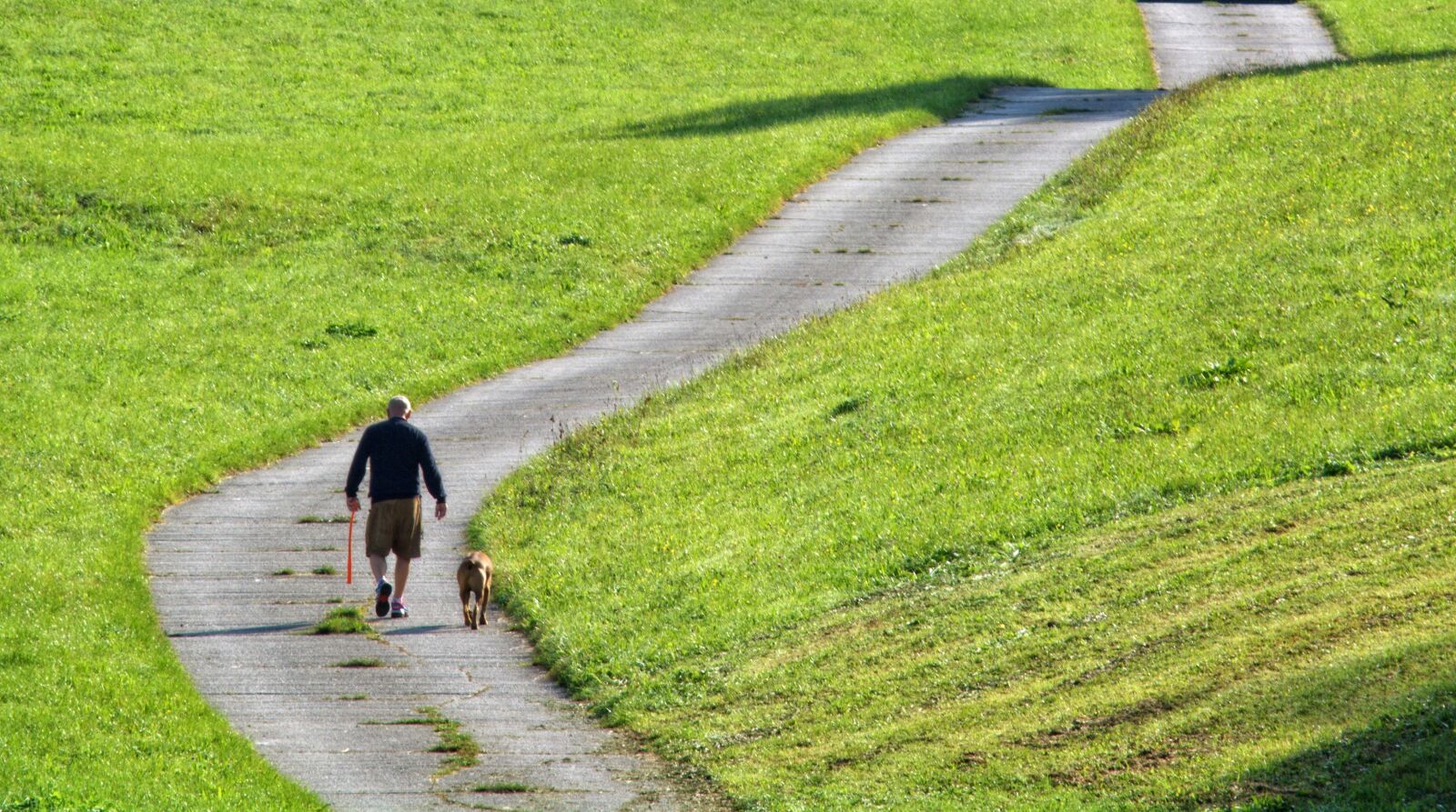 55.0-200.0mm f/4.0-f/5.6 sample photo. Person, human, dog photography