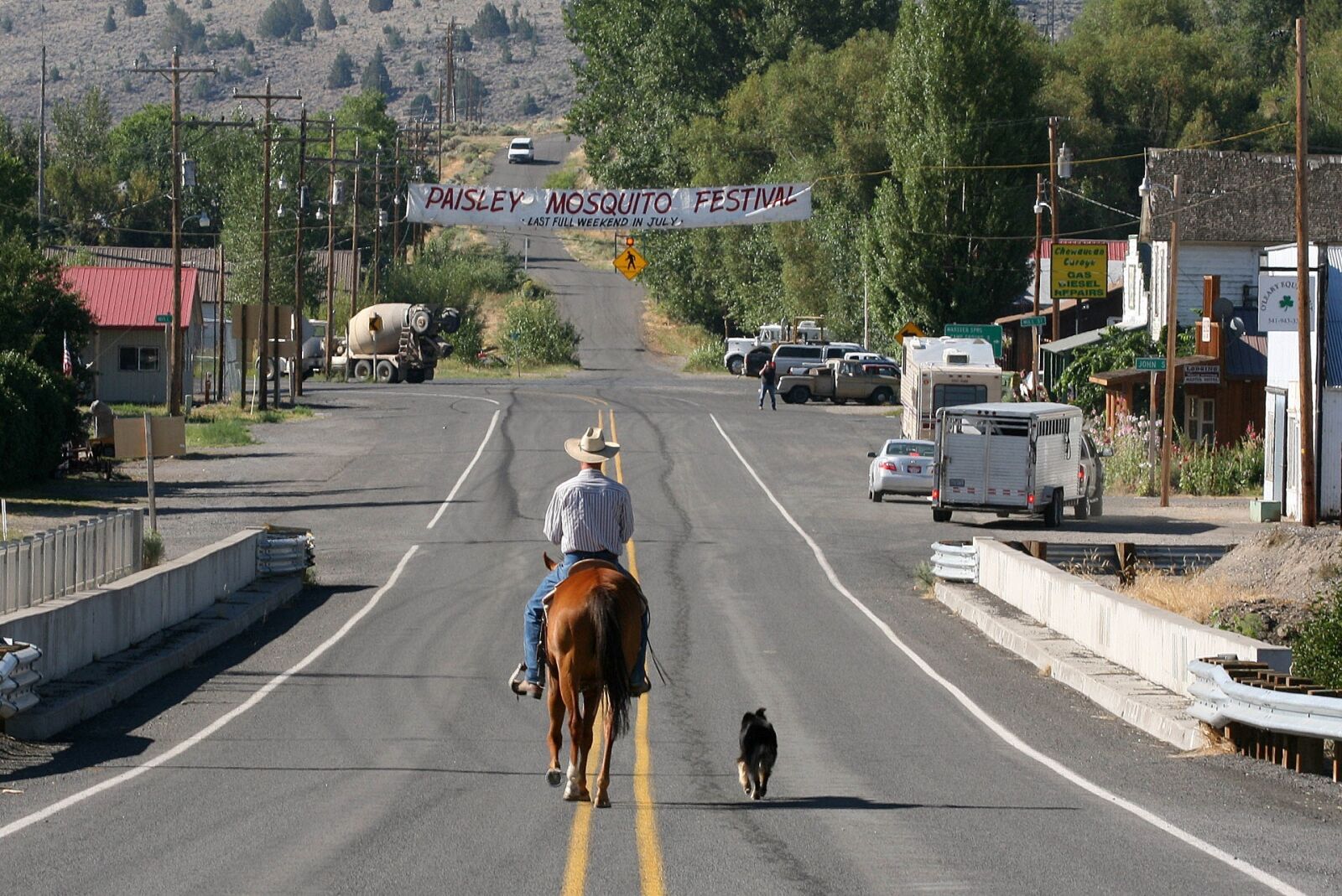 Canon EOS 5D sample photo. Cowboy, horserider, dog photography
