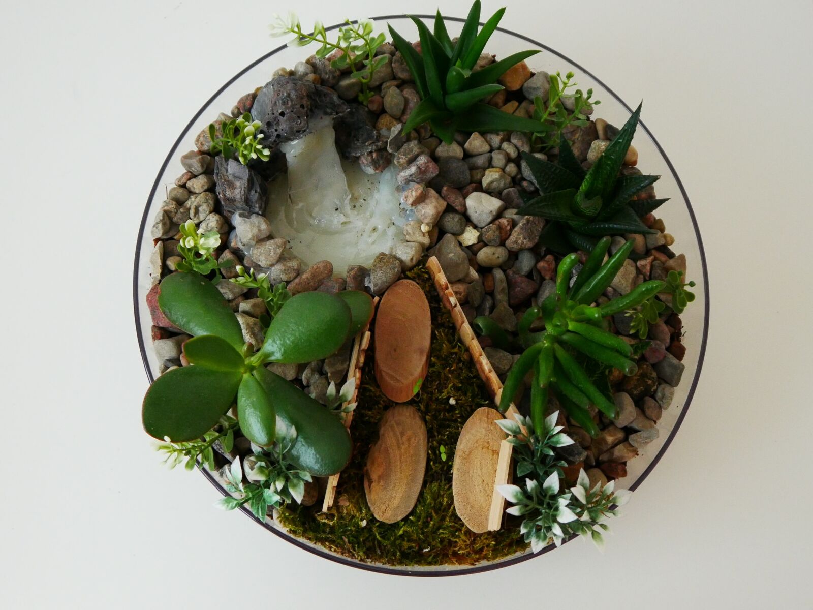 Panasonic DMC-G70 sample photo. Succulents, plant, green photography