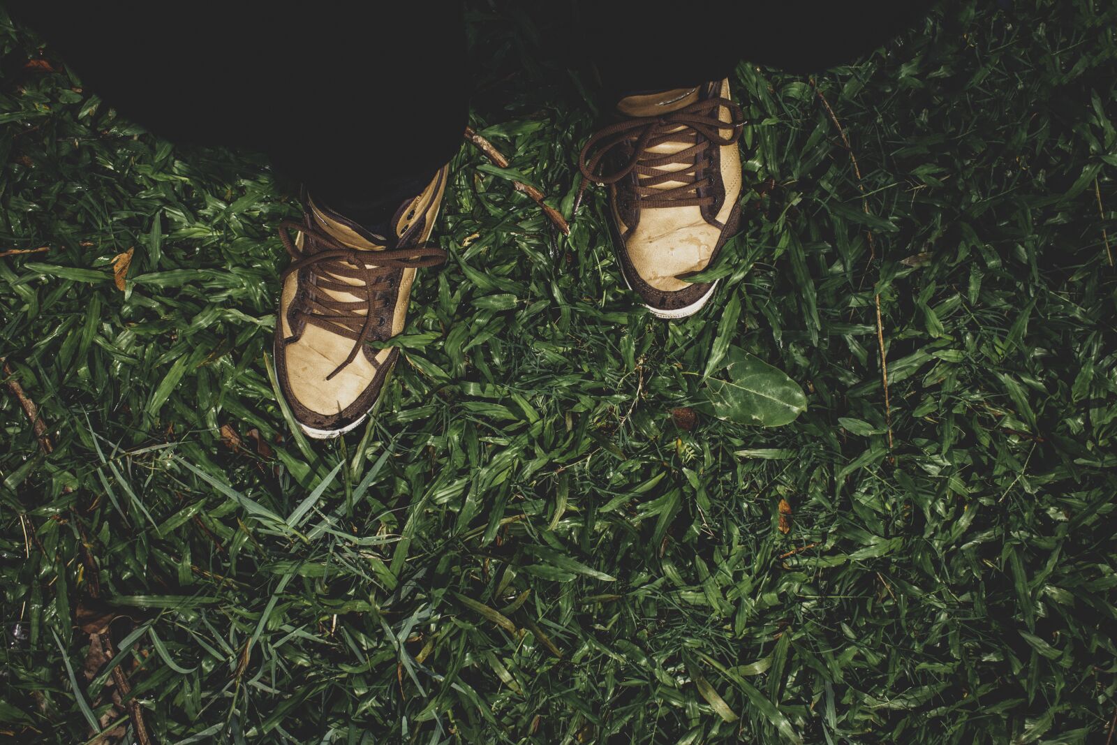 Canon EOS 750D (EOS Rebel T6i / EOS Kiss X8i) sample photo. Footwear, grass, shoe photography