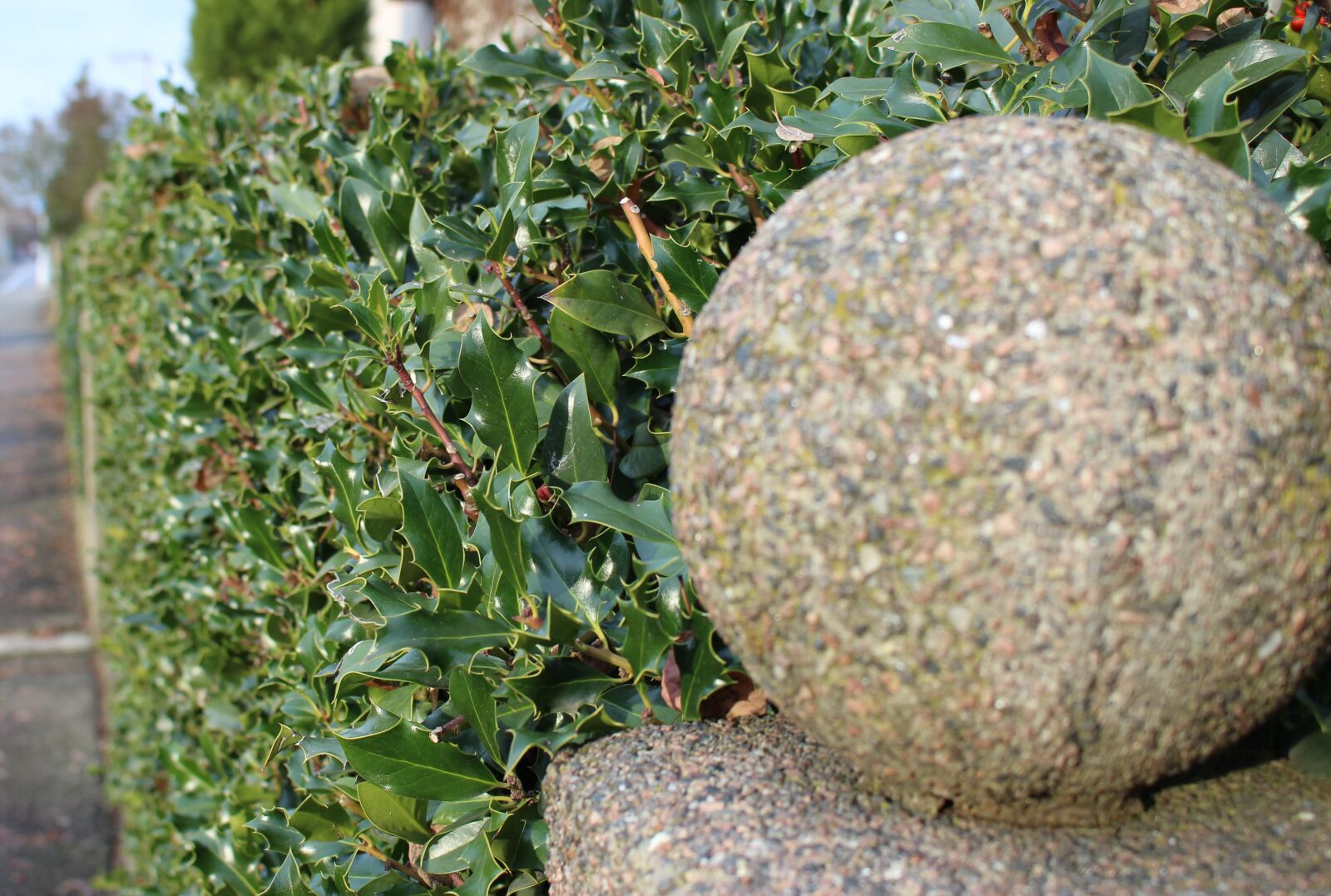 Canon EOS 100D (EOS Rebel SL1 / EOS Kiss X7) sample photo. Sphere, stone balls, hedge photography