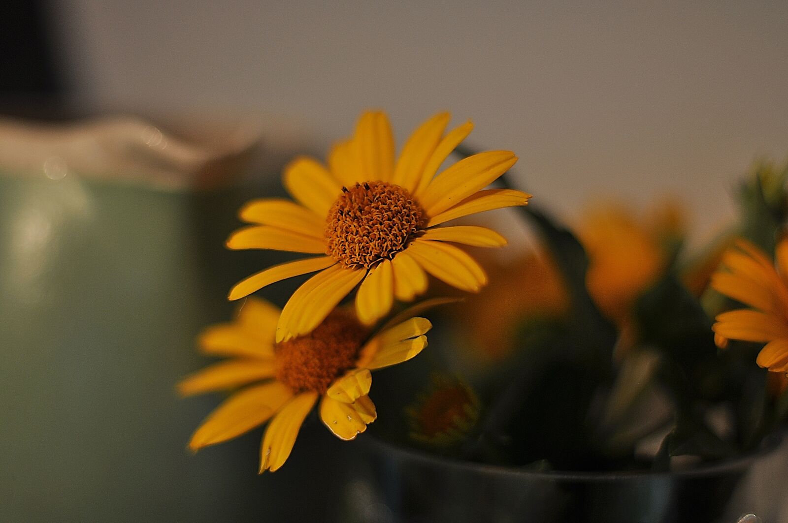 Nikon D90 sample photo. Flowers, yellow, sunflower photography