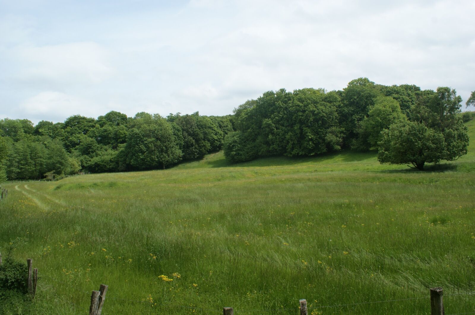 Sony Alpha DSLR-A350 sample photo. Recreational area, pawn sche photography
