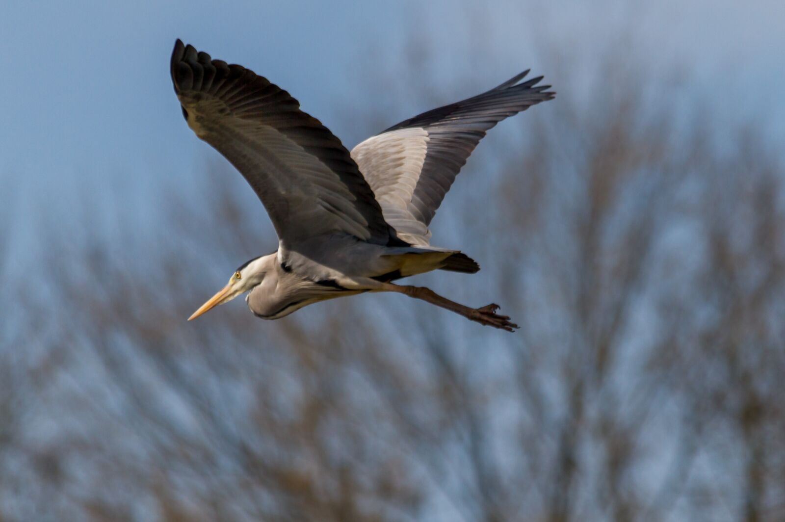 Canon EOS 7D sample photo. Nature, landscape, lake photography