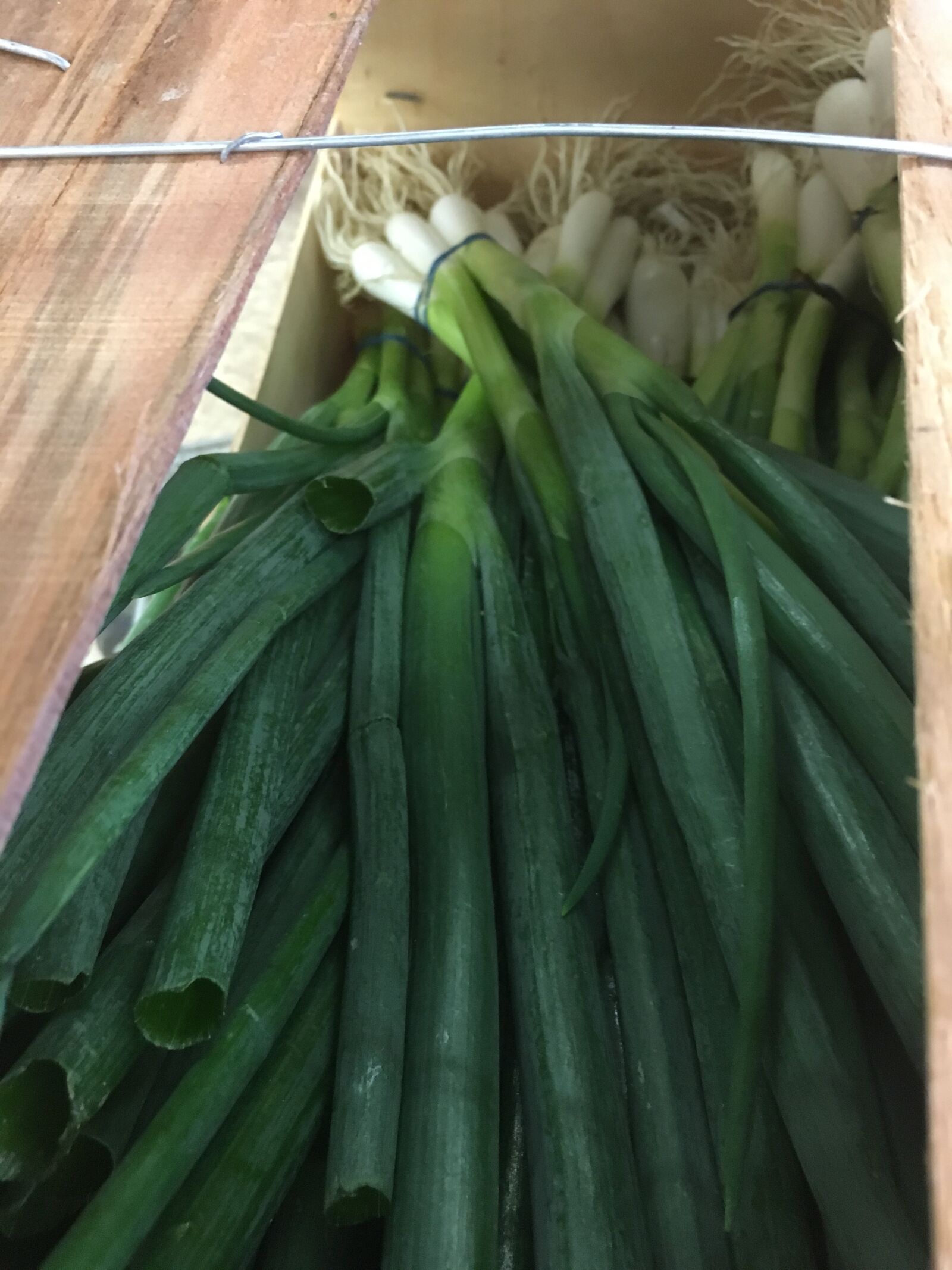 Apple iPhone 6s sample photo. Banana, box, market, new photography