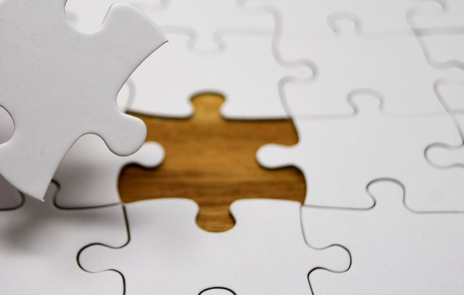 Nikon D7200 sample photo. Puzzle, last part, joining photography