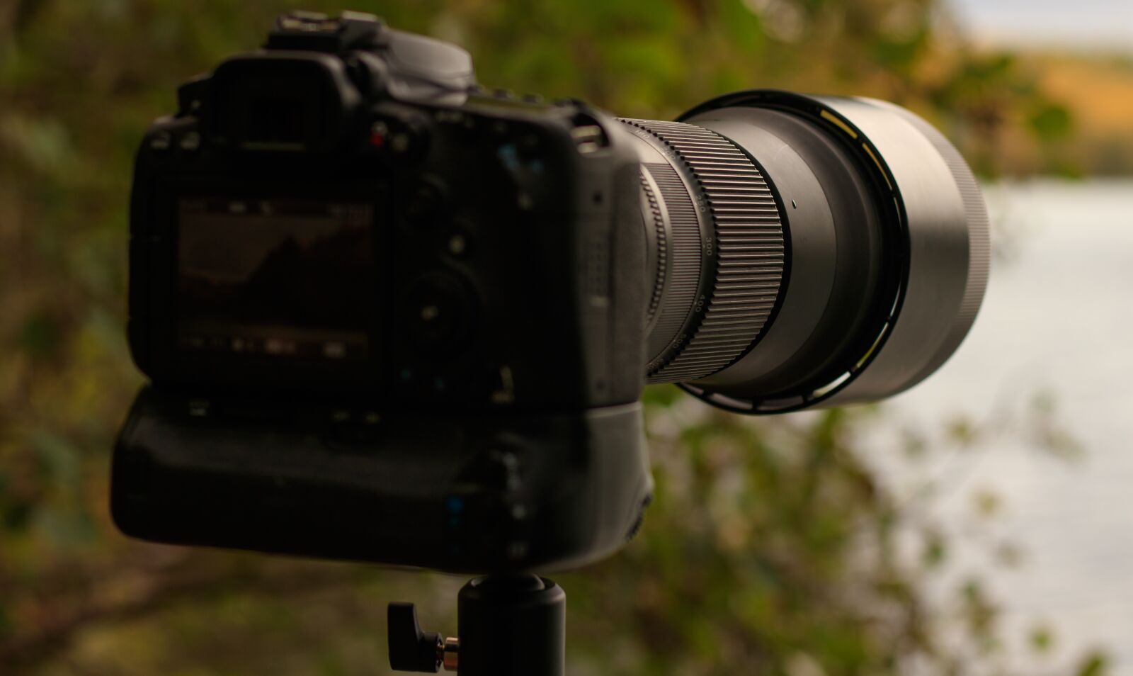 Canon EOS 80D sample photo. Camera, lens, photograph photography