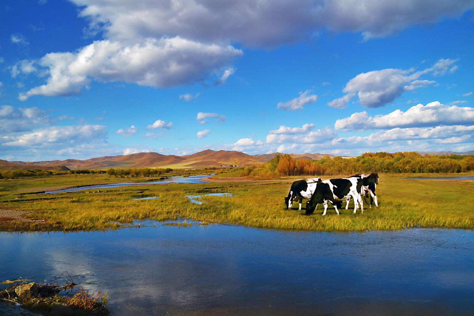 Nikon D3100 sample photo. Landscape, a bird's eye photography