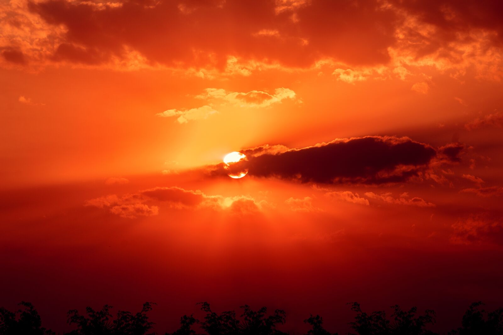 Canon EOS 1300D (EOS Rebel T6 / EOS Kiss X80) sample photo. Sunset, nature, landscape photography