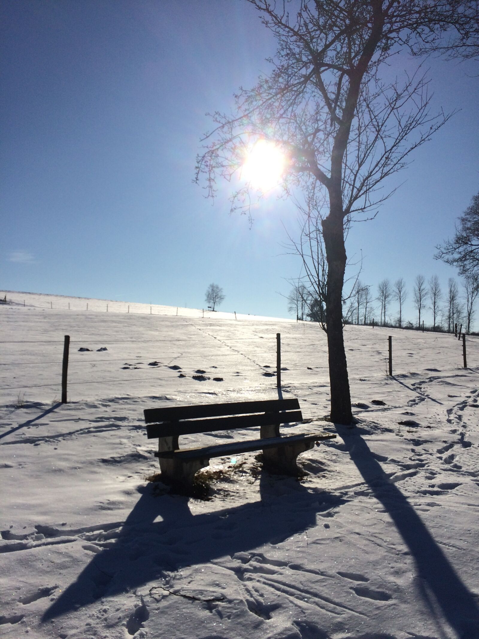 iPhone 5s back camera 4.15mm f/2.2 sample photo. Winter, rest, landscape photography