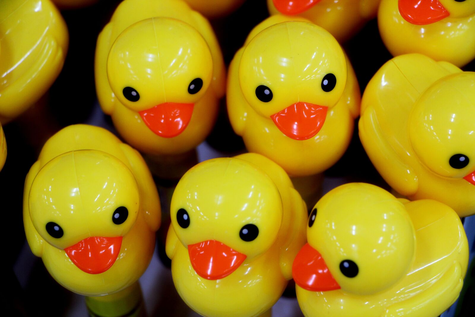 Canon EOS 650D (EOS Rebel T4i / EOS Kiss X6i) sample photo. Duck, toy, cute photography
