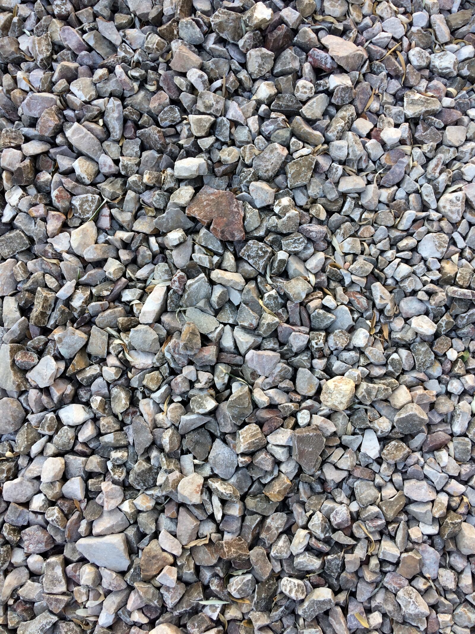 iPhone 5s back camera 4.15mm f/2.2 sample photo. Stone, model, texture photography