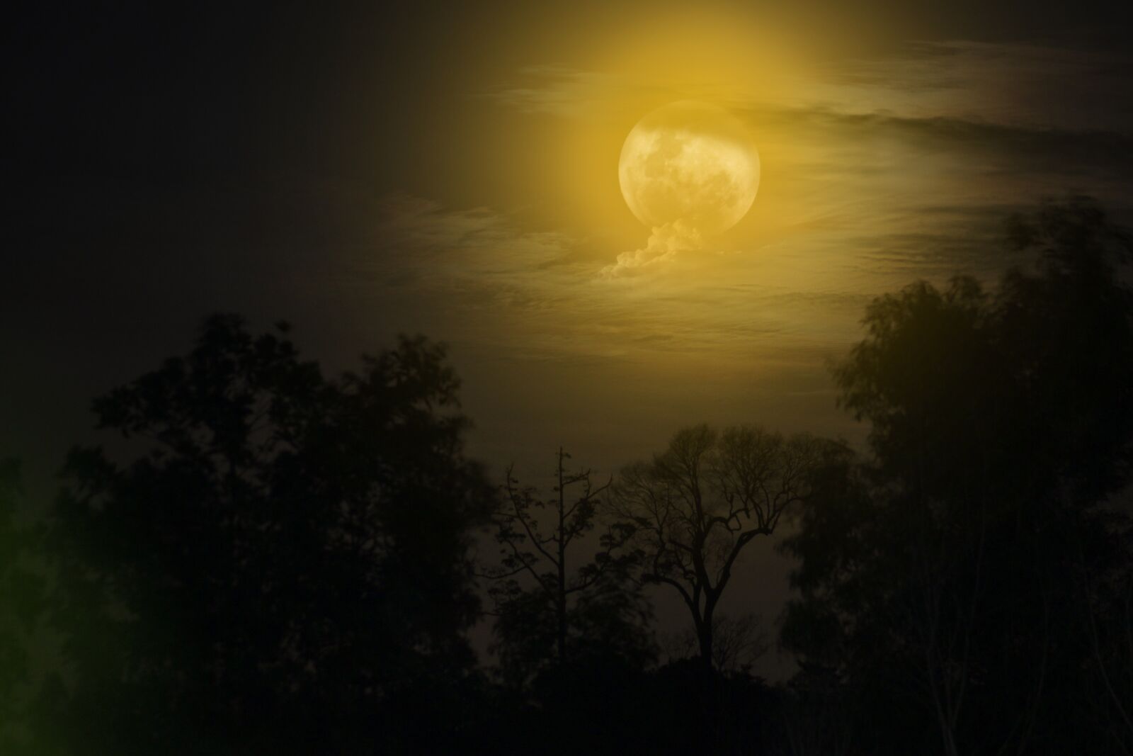 Canon EOS 600D (Rebel EOS T3i / EOS Kiss X5) sample photo. Moon, night, nightshoot photography