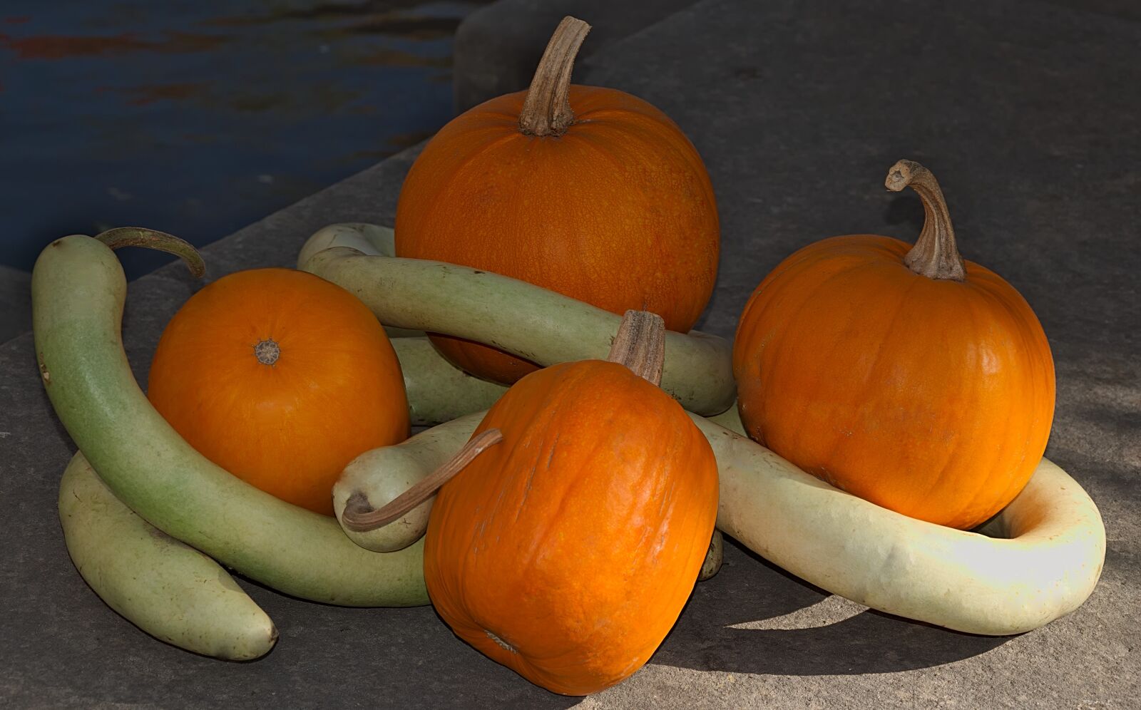 Nikon D3300 sample photo. Pumpkins, still life, autumn photography