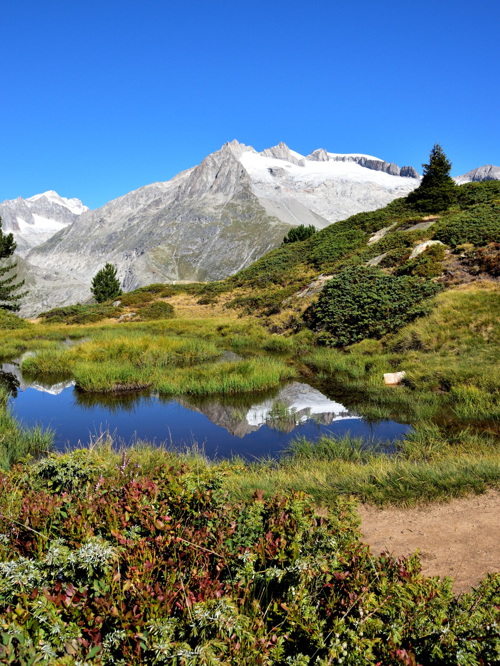Nikon D5500 sample photo. Mountain, pond, landscape photography