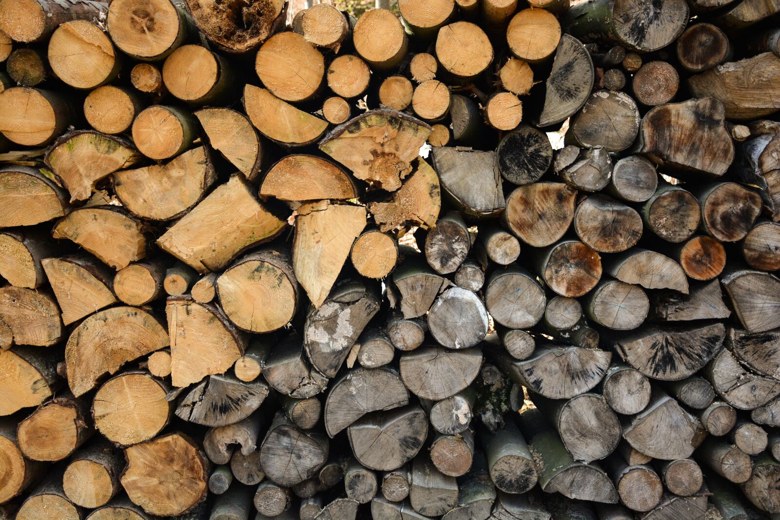 Nikon D5200 sample photo. Contrast, the opposite, wood photography