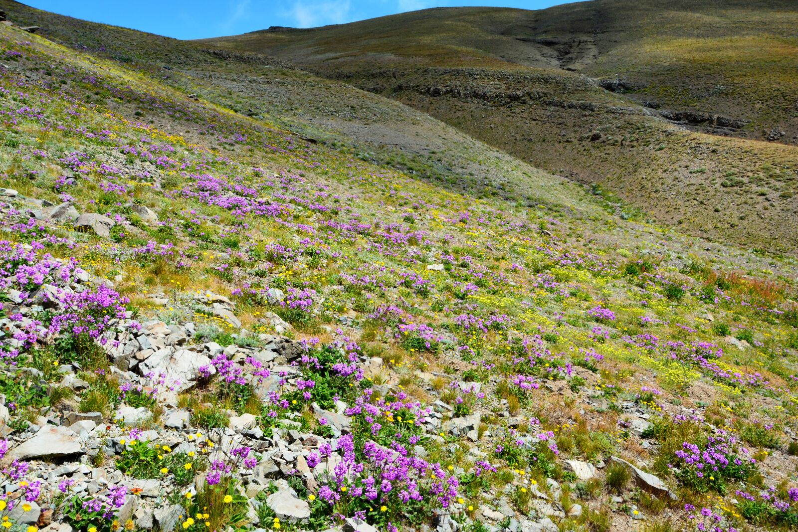 Nikon D7100 sample photo. Nature, landscape, kaçkars photography