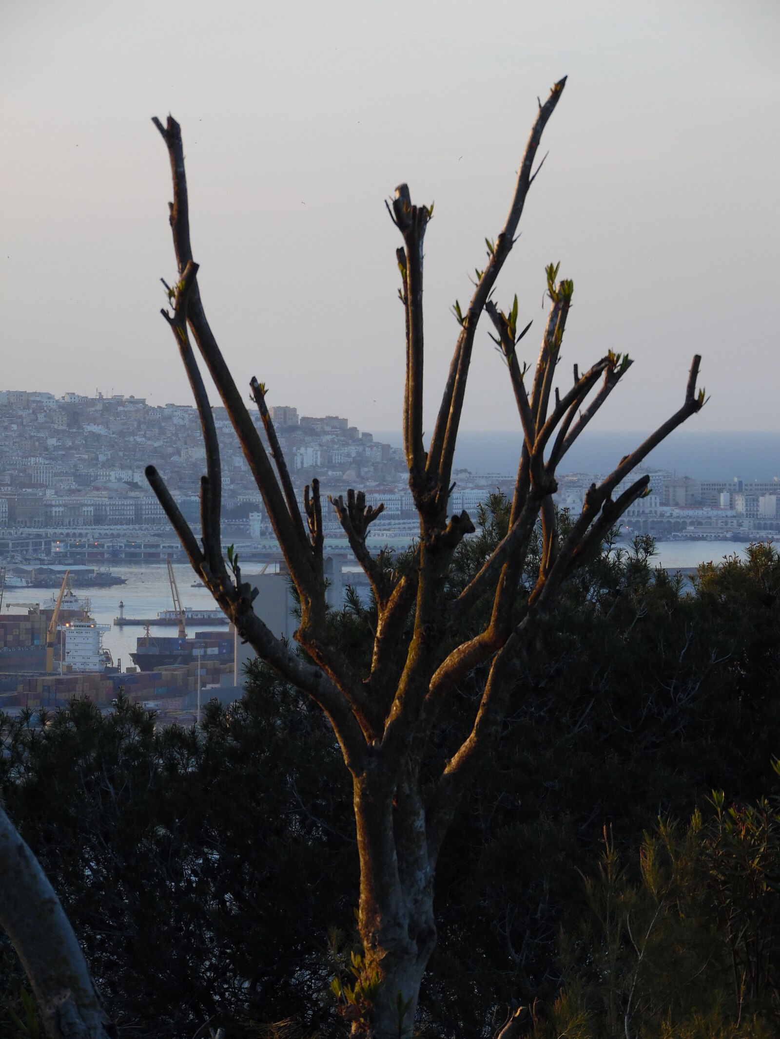 Samsung WB1100F/WB1101F/WB1102F sample photo